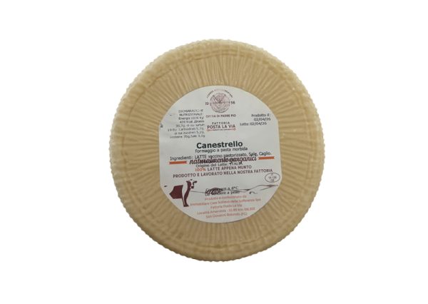 Canestrello